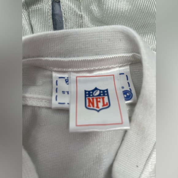 BUILD-A-BEAR: Playful Puppy Dog, Brown, Dallas Cowboys Outfit - Picture 11 of 13